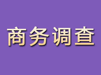 会同商务调查